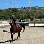 Ride And * Çeşme