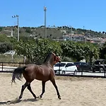 Ride And Hotel