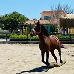 Hotel Ride And