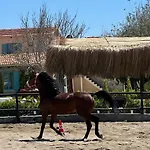 Hotel Ride And *