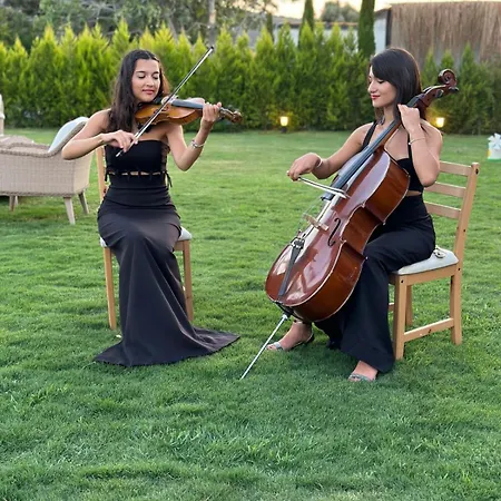 Ξενοδοχείο Ride And *