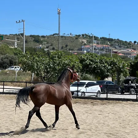 Ride And Ξενοδοχείο