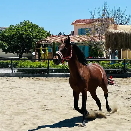 Ξενοδοχείο Ride And