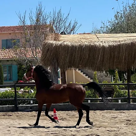 Ξενοδοχείο Ride And *